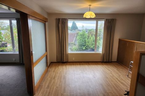 Photo of property in 28 Grange Street, Hillsborough, Christchurch, 8022