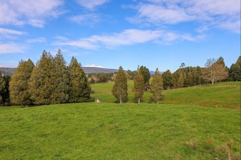 Photo of property in 47 Otapouri Road, Owhango, 3989