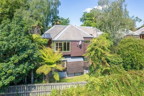 Photo of property in 8 Cook Street, Hamilton East, Hamilton, 3216