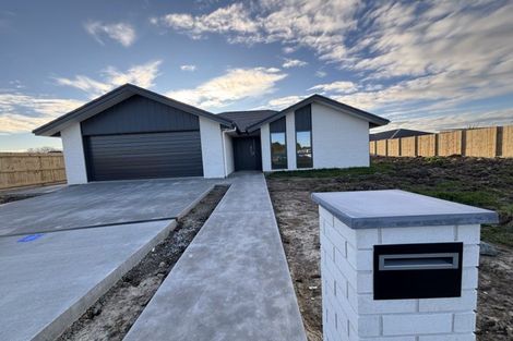 Photo of property in 13 Corrib Grove, Milson, Palmerston North, 4414