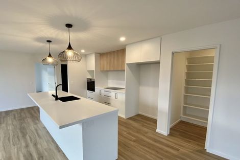 Photo of property in 81 Nethercote Way, Rolleston, 7614