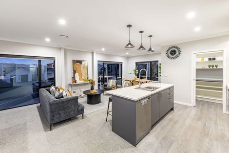 Photo of property in 117 John Burke Drive, Aotea, Porirua, 5024