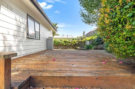 Photo of property in 102 Macfarlane Street, Hamilton East, Hamilton, 3216