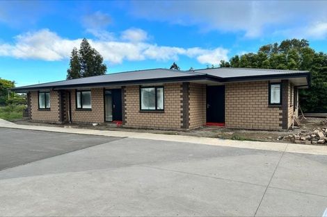 Photo of property in 5 Mccrae Place, Ashhurst, 4810
