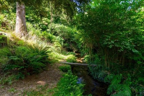 Photo of property in 308 Sunset Road, Sunnybrook, Rotorua, 3015