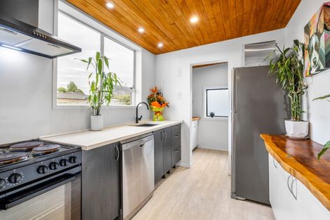 Photo of property in 15 Donegal Street, Belfast, Christchurch, 8051