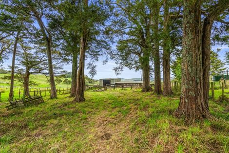Photo of property in 559 Old Kaipara Road, Kaipara Flats, Warkworth, 0981