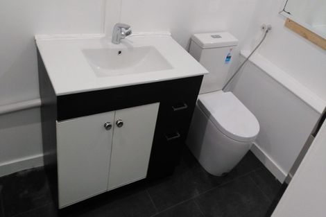 Photo of property in 61 Rolleston Street, Mount Cook, Wellington, 6021