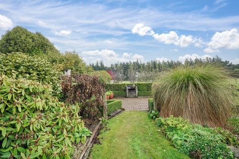 Photo of property in 398 Drysdale Road, Myross Bush, Invercargill, 9872