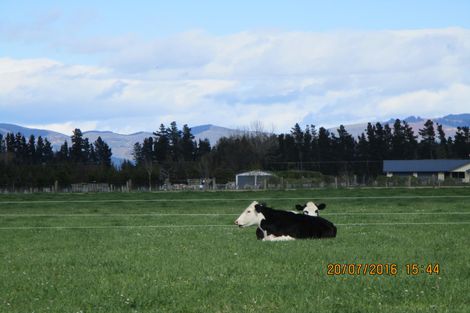 Photo of property in 309 Flatman Road, Orari Bridge, Geraldine, 7991