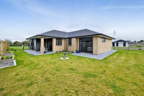 Photo of property in 3 Bianca Crescent, Stratford, 4332