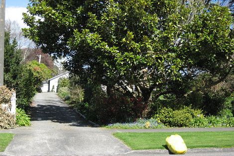 Photo of property in 19 Milne Street, Marton, 4710