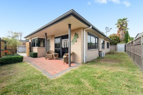 Photo of property in 211a Maungatapu Road, Maungatapu, Tauranga, 3112