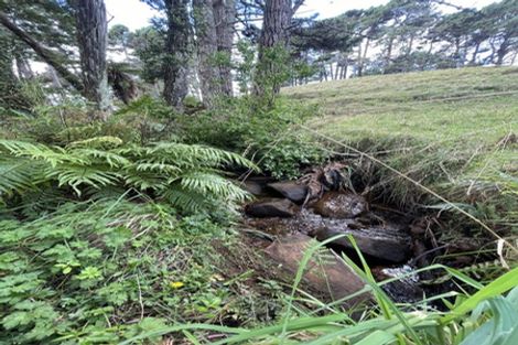 Photo of property in 397 Ruapuke Road, Raglan, 3296