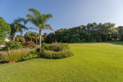 Photo of property in 995f Purangi Road, Cooks Beach, Whitianga, 3591