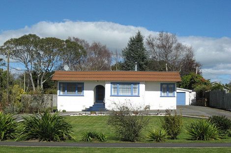 Photo of property in 17 Milne Street, Marton, 4710