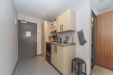 Photo of property in Dual Apartments, 108/142u Vivian Street, Te Aro, Wellington, 6011