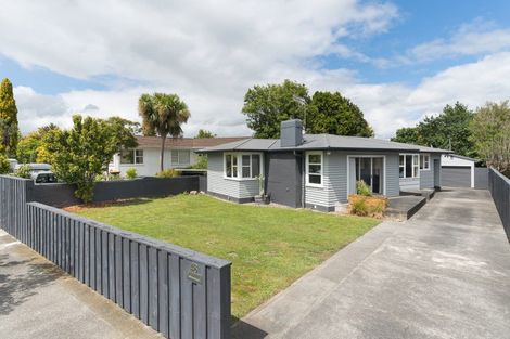 Photo of property in 46 Pitama Road, Awapuni, Palmerston North, 4412