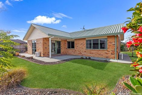 Photo of property in 123c James Street, Whakatane, 3120