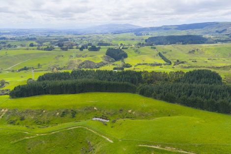 Photo of property in 158 Pahiatua Aokautere Road, Aokautere, 4471