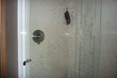 Photo of property in 84 Romilly Street, Westport, 7825