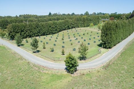 Photo of property in 30c Thompsons Track, Aongatete, 3178