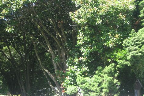 Photo of property in 59 Albert Terrace, Saint Martins, Christchurch, 8022