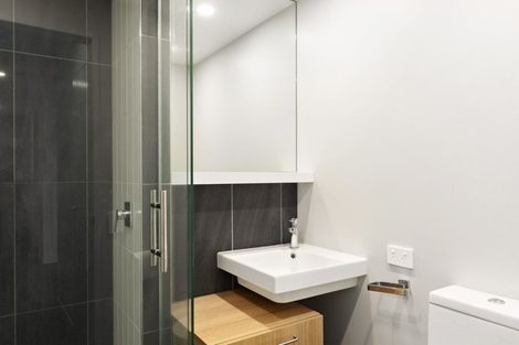 Photo of property in Vsp South, 102/166u Victoria Street, Te Aro, Wellington, 6011