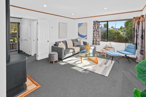 Photo of property in 10 Greenwood Place, Richmond, 7020