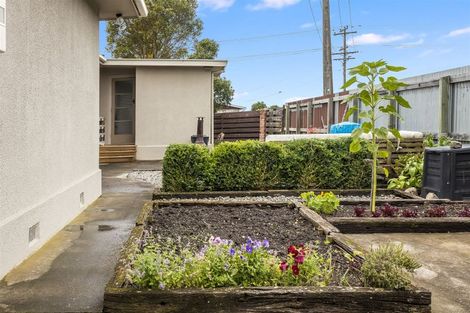 Photo of property in 44 Weld Street, Redwoodtown, Blenheim, 7201