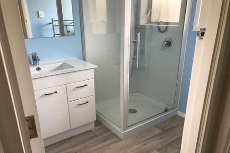 Photo of property in 13a Lorraine Place, Glenview, Hamilton, 3206