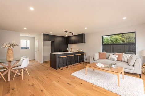Photo of property in 4/117 Hills Road, Edgeware, Christchurch, 8013