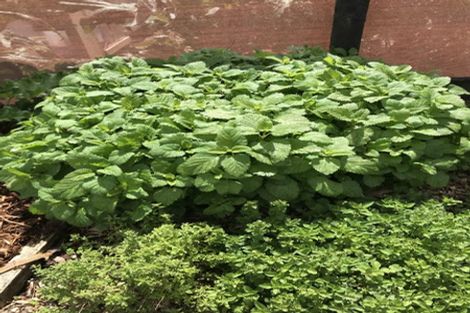 Photo of property in 73 Valerie Close, Warkworth, 0983