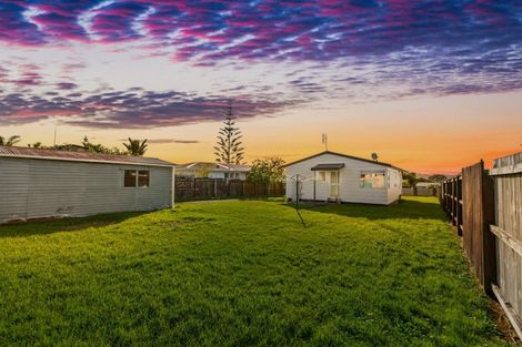 Photo of property in 26 Hinerau Street, Henderson, Auckland, 0612