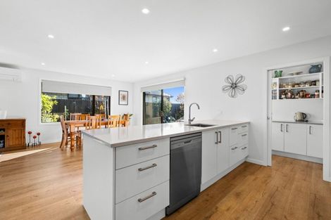 Photo of property in 23 Redhaven Rise, Netherby, Ashburton, 7700