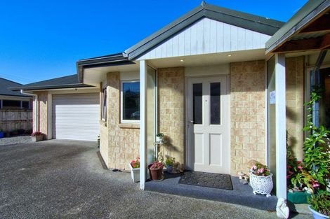 Photo of property in 48b Church Street, Masterton, 5810