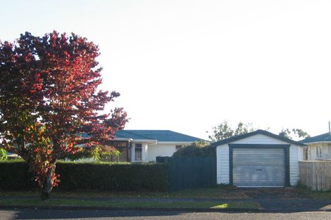Photo of property in 154 Elizabeth Drive, Tokoroa, 3420