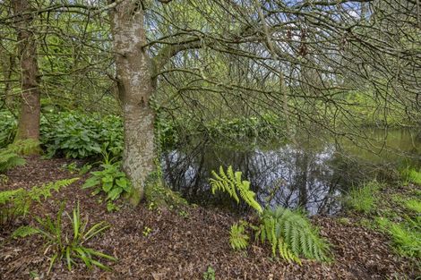 Photo of property in 4626 Ohaupo Road, Ohaupo, 3883