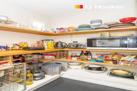 Photo of property in 8 Kevin Street, Mornington, Dunedin, 9011