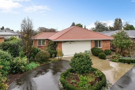 Photo of property in 212d Nixon Street, Hamilton East, Hamilton, 3216