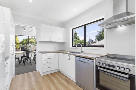 Photo of property in 16 Fernleigh Street, Chartwell, Hamilton, 3210