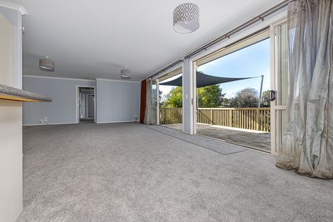 Photo of property in 110a Lewis Street, Glenview, Hamilton, 3206
