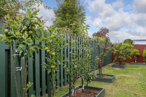 Photo of property in 4 Chamberlain Road, Masterton, 5810