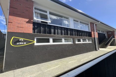 Photo of property in 239u2 Adelaide Road, Newtown, Wellington, 6021