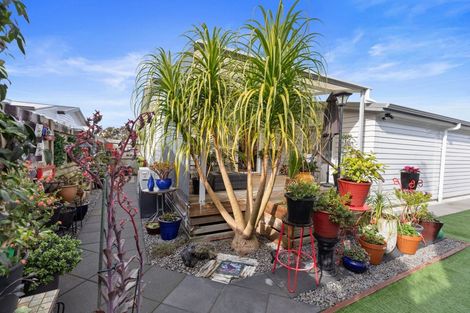 Photo of property in 309/11 Kamahi Crescent, Papamoa Beach, Papamoa, 3118