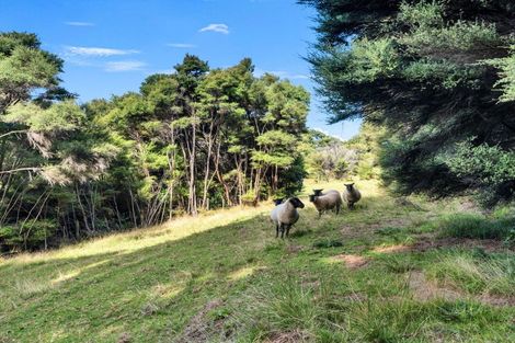 Photo of property in 158 Mcleod Road, South Head, Helensville, 0874