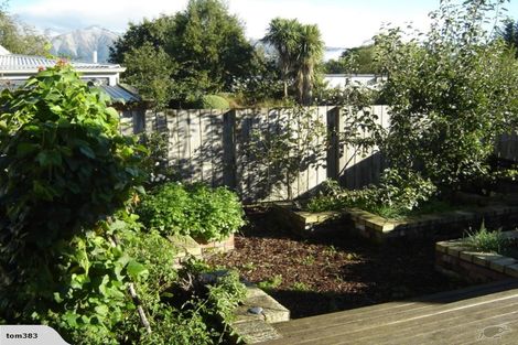 Photo of property in 11 Victoria Street, Springfield, 7681