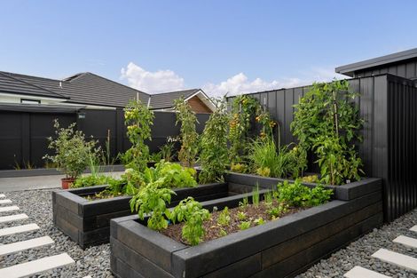 Photo of property in 4 Moemoea Place, Cambridge, 3434