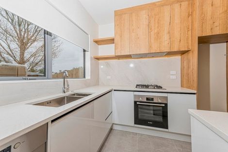 Photo of property in 31 Statesman Street, Henderson, Auckland, 0612