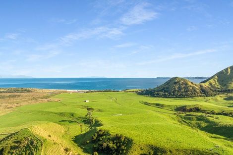 Photo of property in 550 Black Jack Road, Opito Bay, Whitianga, 3592